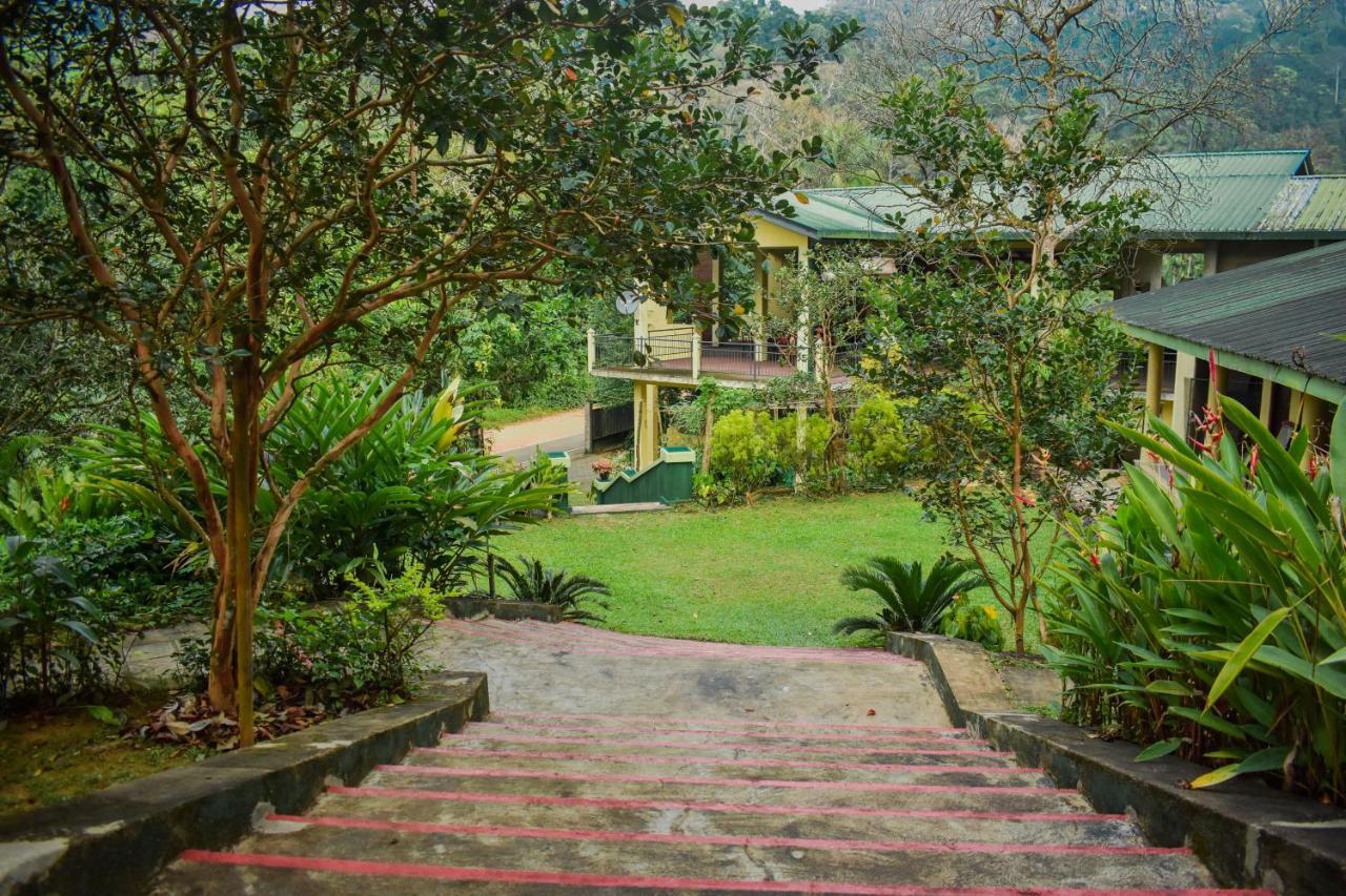 Blue Magpie Lodge Sinharaja Kudawe Екстериор снимка