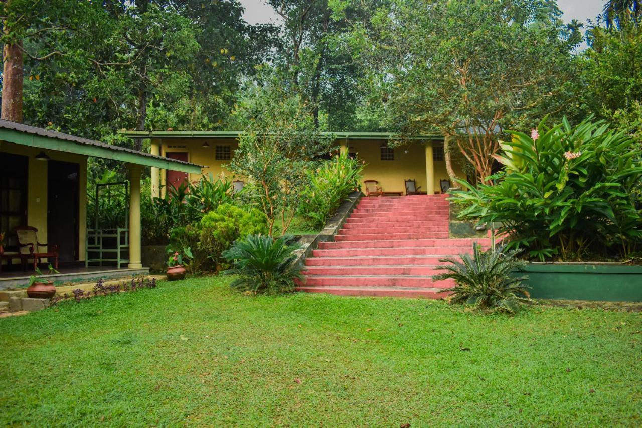 Blue Magpie Lodge Sinharaja Kudawe Екстериор снимка