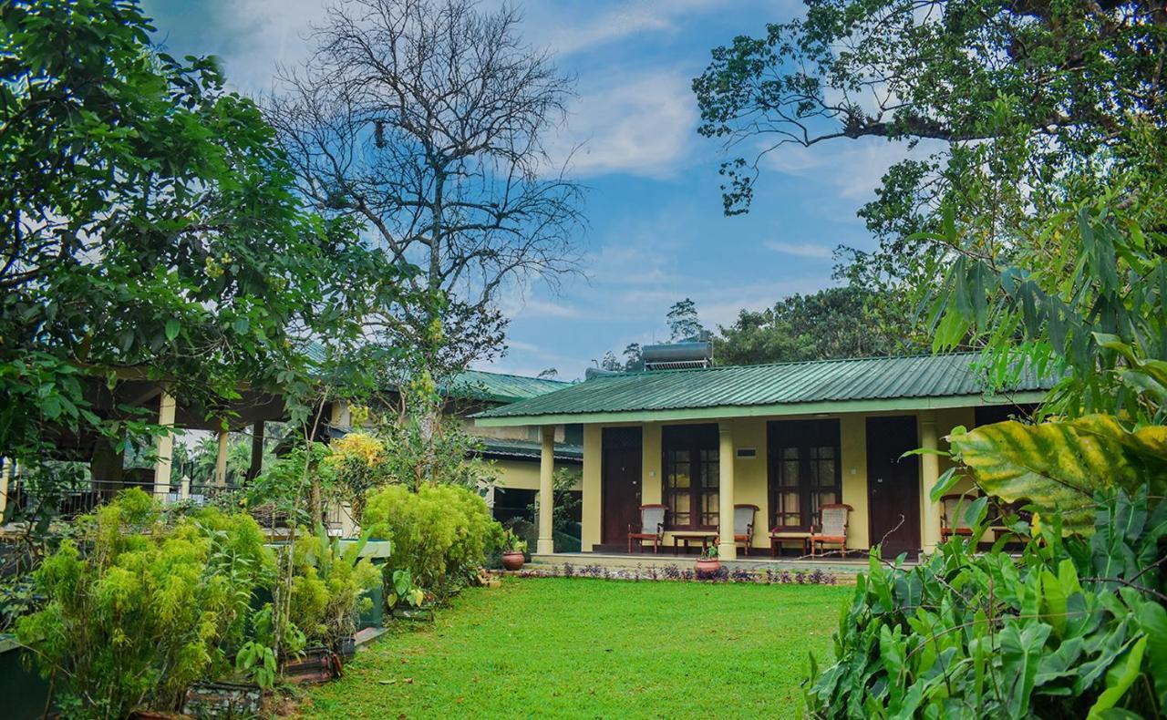 Blue Magpie Lodge Sinharaja Kudawe Екстериор снимка